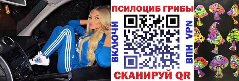 Псилоцибиновые грибы мицелий Киржач