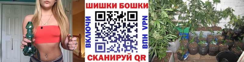 Каннабис White Widow  где купить наркоту  Киржач 